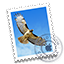 mail